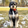 tammy_bilodeau